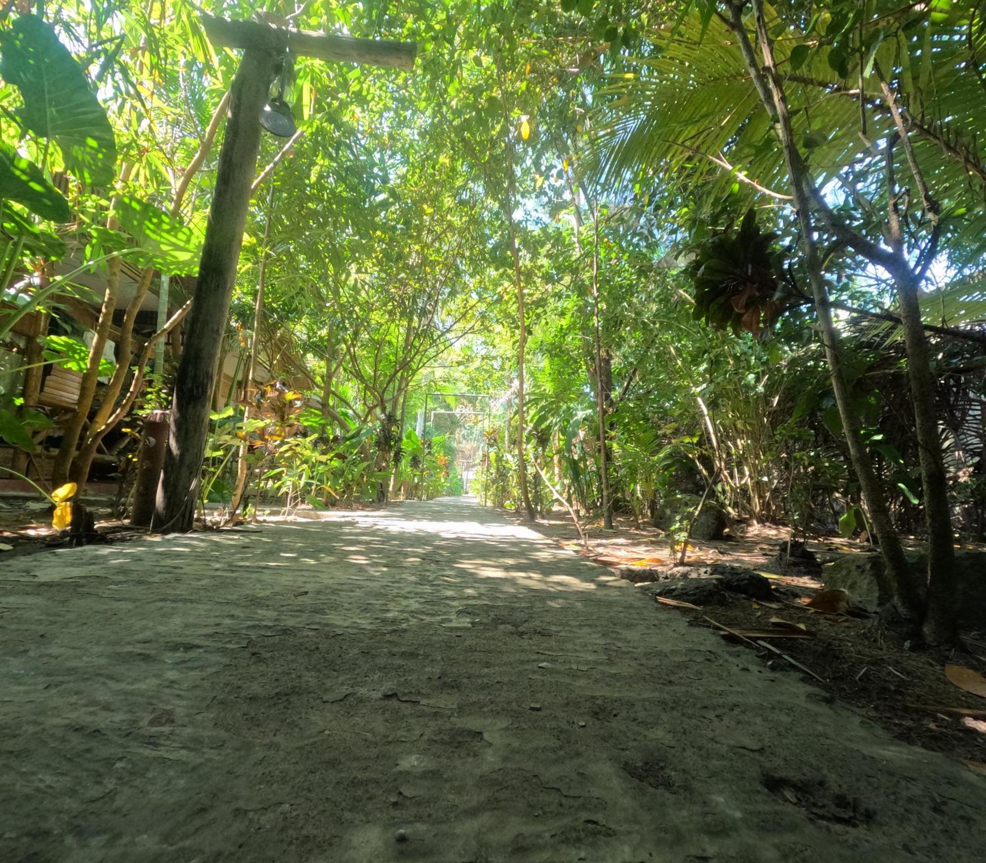 Havelock Farms Resort Vijay Nagar Beach Exterior photo